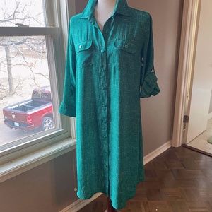 CAbi green shirt dress